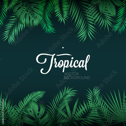 Tropical vector background with exotic green palm leaves © max_776