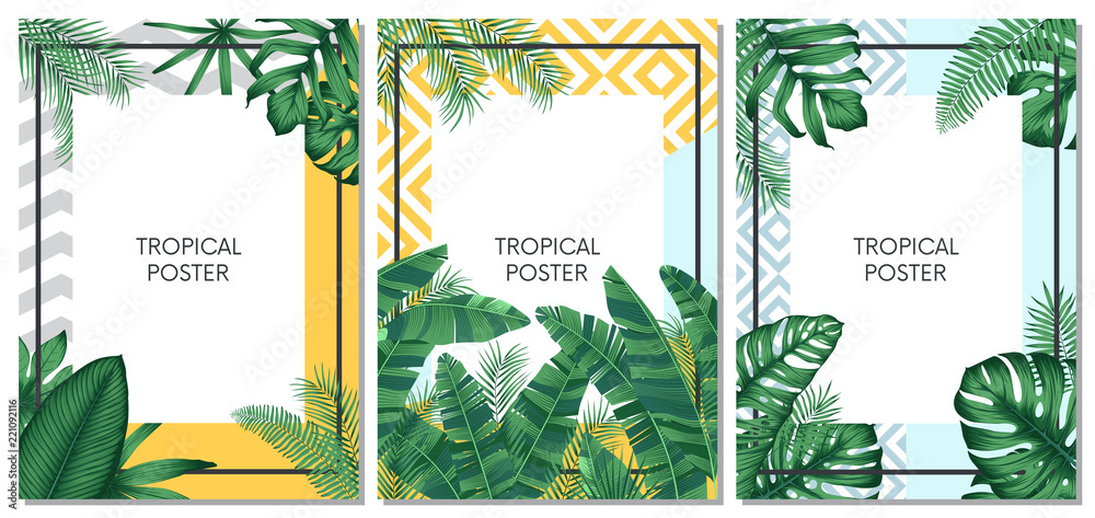 Lato tropikalny wektor zestaw projekt karty, plakat lub ulotki z egzotycznych liści palmowych <span>plik: #221092116 | autor: max_776</span>