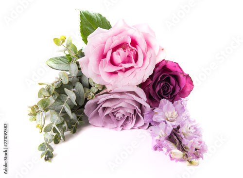 Pink and purple roses with leaves isolated on white background