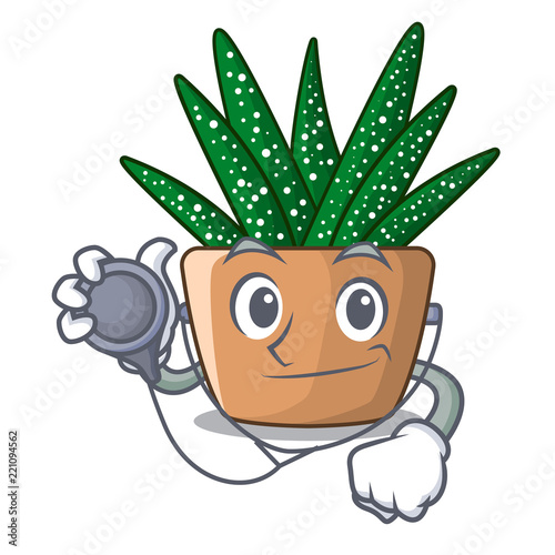 Doctor mini zebra cactus on cartoon pot
