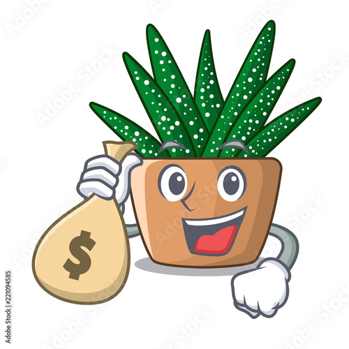 With money bag mini zebra cactus on cartoon pot