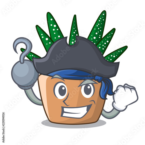 Pirate mini zebra cactus on cartoon pot
