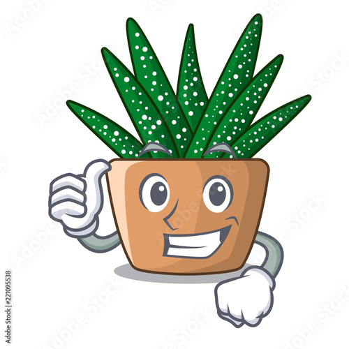 Thumbs up character small zebra cactus plant on pot