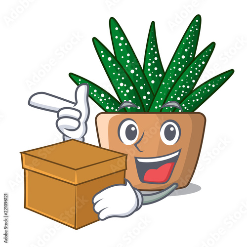 With box character small zebra cactus plant on pot