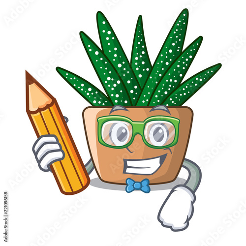 Student character small zebra cactus plant on pot