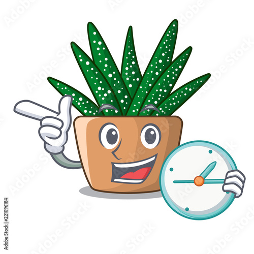 With clock character small zebra cactus plant on pot