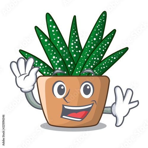 Waving character small zebra cactus plant on pot