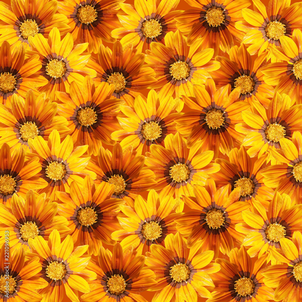 Beautiful floral background of yellow flowers Beautiful floral background of yellow flowers