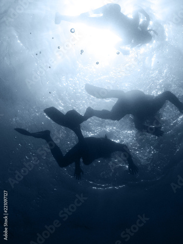 group of scuba diver under water