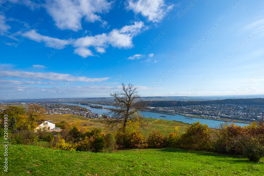 Herbstlicher Weinberg und der Rhein