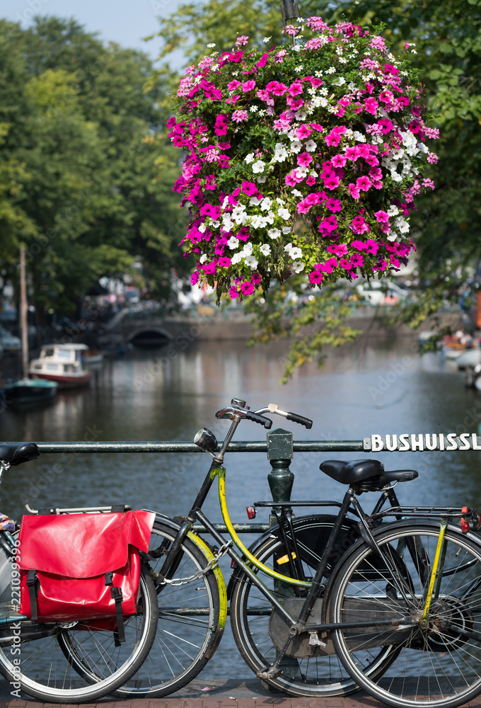 Summer flowers on the Amsterdam canals, Netherlands