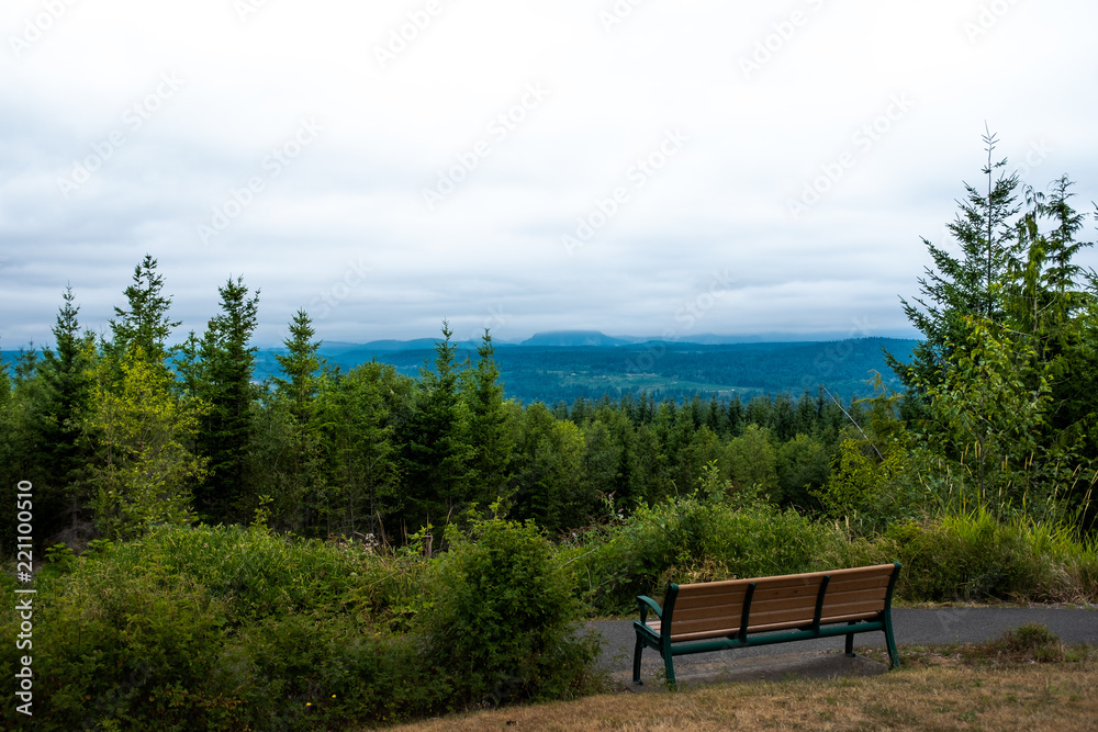 Bench overlooking forest and stormy sky
