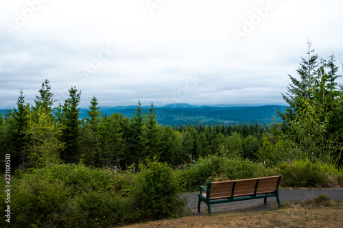 Bench overlooking forest and stormy sky
