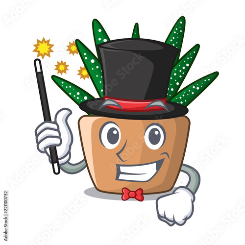Magician cartoon zebra cactus plant at park