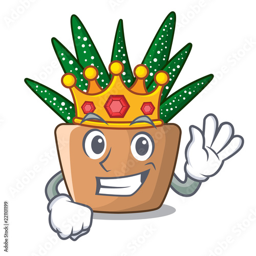 King cartoon zebra cactus plant at park