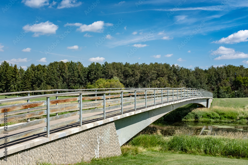 Foot bridge over river with forest