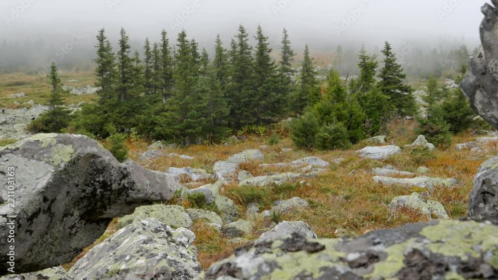Low clouds flow through the mountain taiga area in the Southern Urals. 4K shot. Low clouds flow through the mountain taiga area in the Southern Urals. 4K shot.