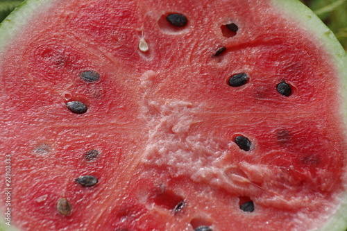 Sweet red watermelon