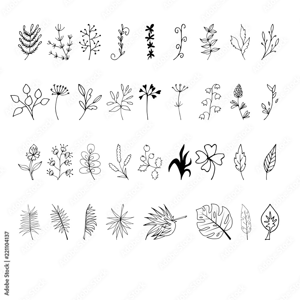 Set of hand drawn elements with floral elements and leaves, design for invitations, greeting cards, quotes, blogs, posters.. Vector illustration. Set of hand drawn elements with floral elements and leaves, design for invitations, greeting cards, quotes, blogs, posters.. Vector illustration.