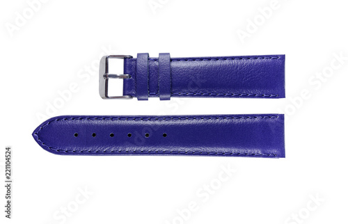 The watchstrap isolated