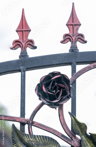 Details, structure and ornaments of forged iron gate. Floral decorative ornament, made from metal. Vintage metallic pattern.
