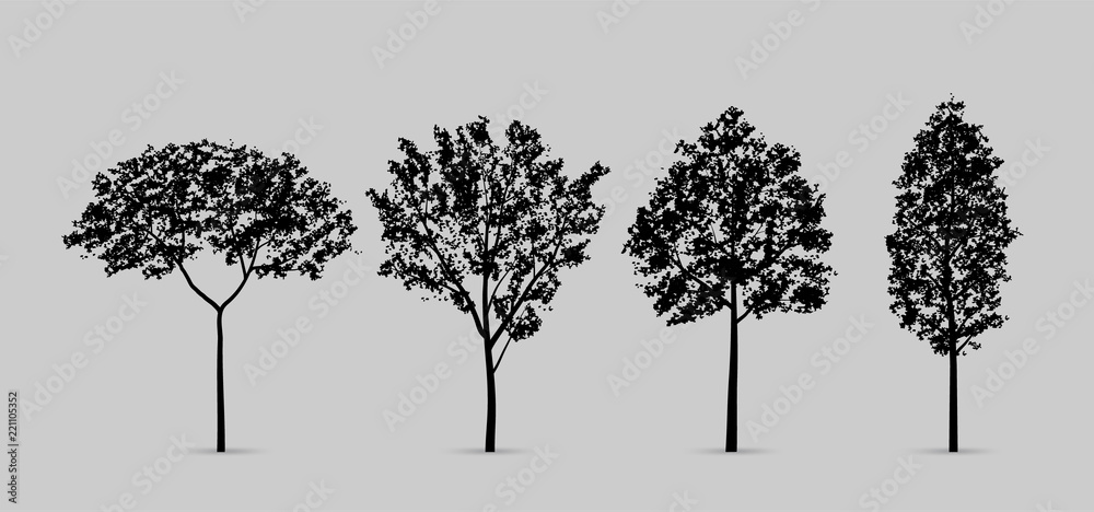 Fototapeta premium Set of tree silhouettes isolated on white background for landscape design and architectural compositions with backgrounds. Vector.