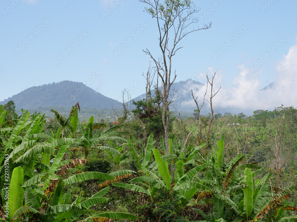 Farmland, fields with clouds Bali,Indonesia. Cloud over farmland. Rural mountain landscape of fields with fence, trees. Farmland, fields with clouds Bali,Indonesia. Cloud over farmland. Rural mountain landscape of fields with fence, trees.