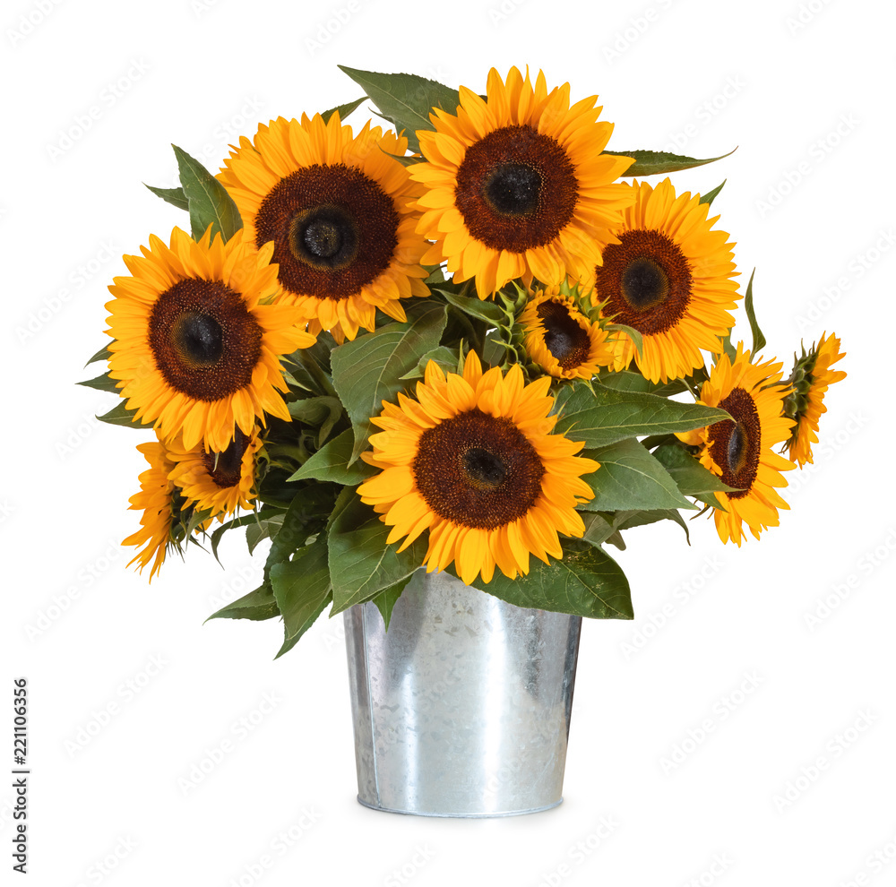 Naklejka premium A beautiful sunflower bouquet isolated on white background, including clipping path. Germany