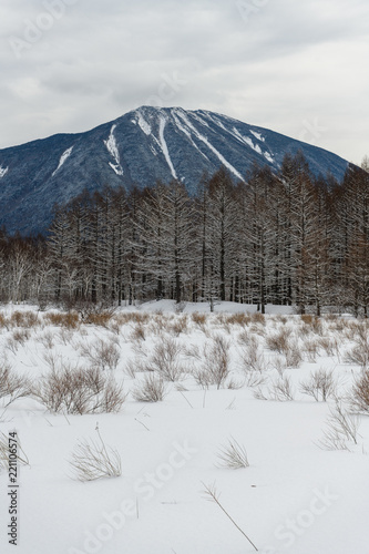 小田代ヶ原から見た男体山 photo