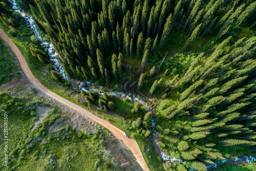 Pine forest from above, spring season, forest road and river