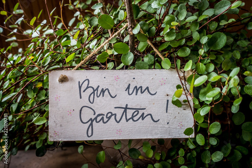 Bin im Garten © focus finder