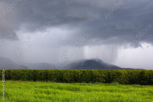 Rain falling on hills behind fruit trees on the Atherton Tableland in Queensland, Australia