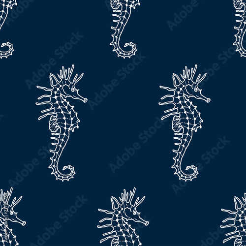 vector seamless pattern of white seahorse contour on dark blue background. Hippocampus silhouette background