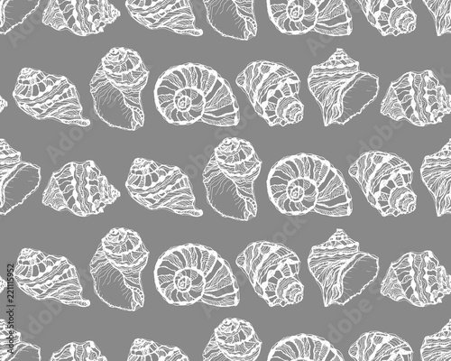 Vector seamless pattern from white seashell on gray background. Hand drawn sketches mollusk sea shells.