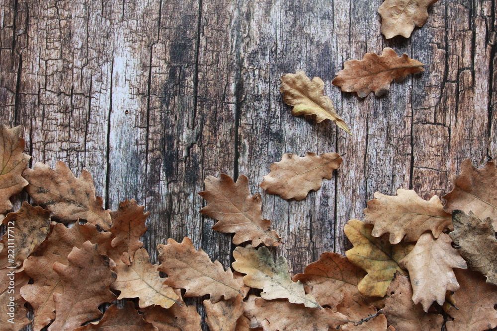 Dry oak leaves on wooden desk. Autumn background concept. Foliage, planks, fall, copy space Dry oak leaves on wooden desk. Autumn background concept. Foliage, planks, fall, copy space