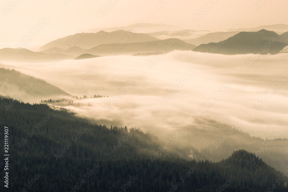 Fog in the valleys of the mountains.Panaramic view