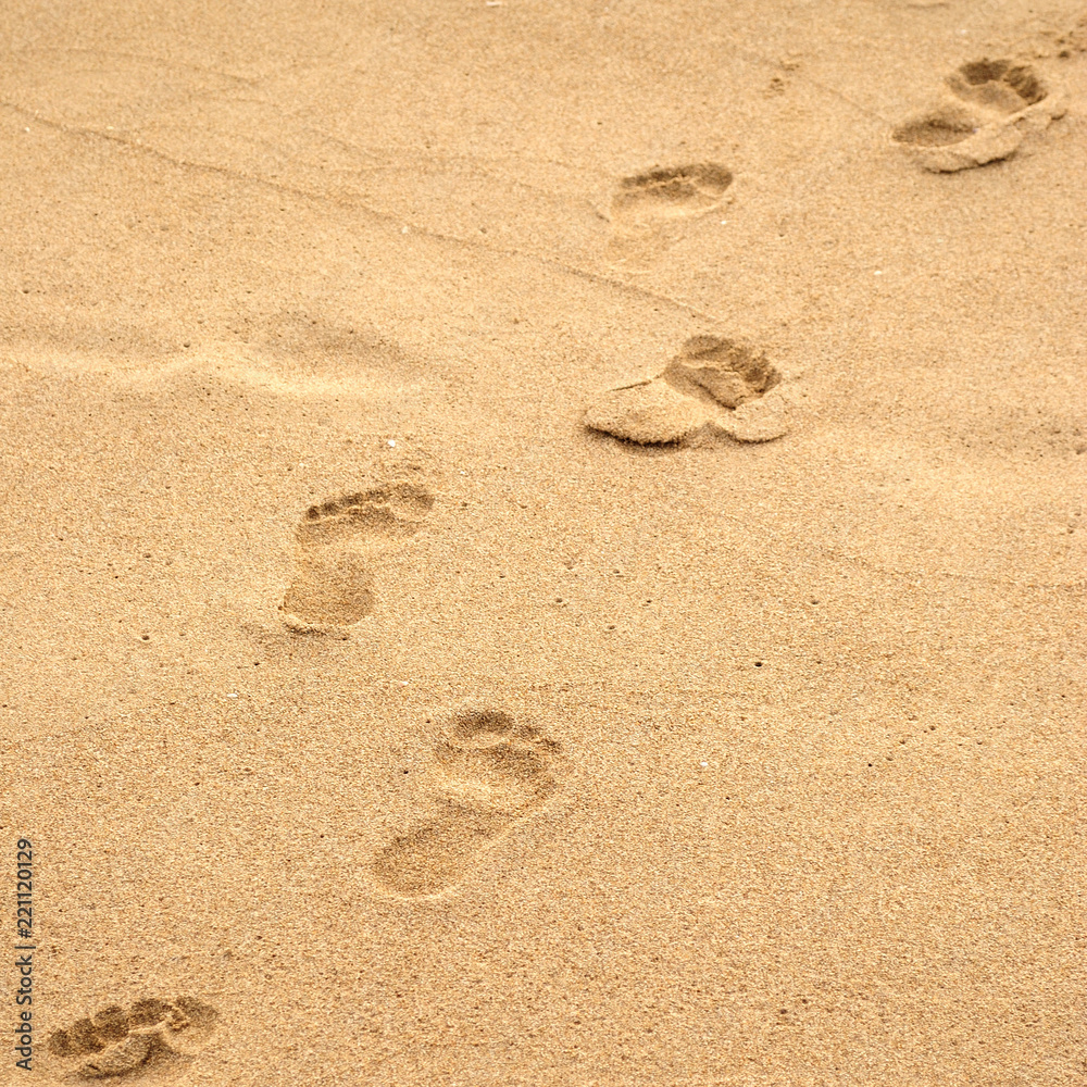 Summer sea, footpath on sand, square frame Summer sea, footpath on sand, square frame