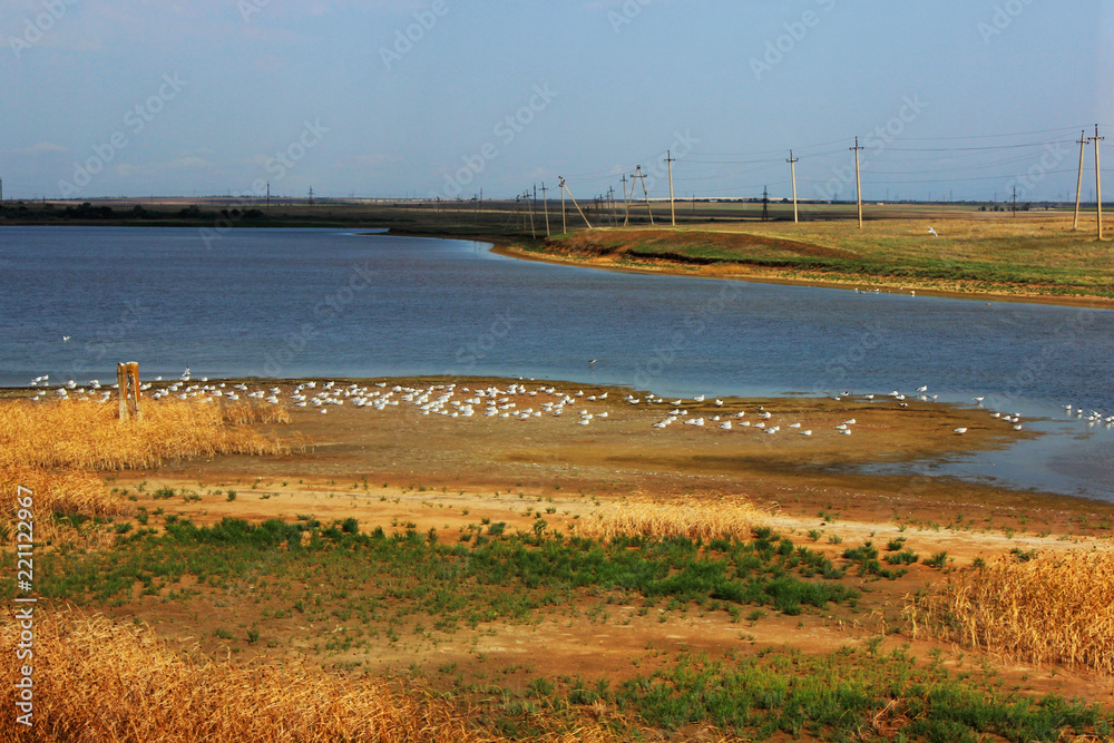 early morning, many sea gulls, an isthmus. Photo from the Crimean bridge