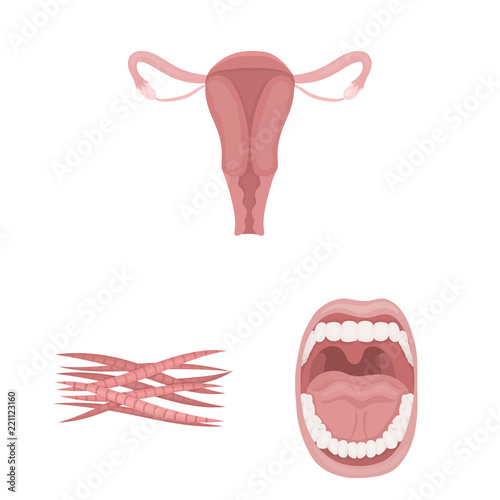 Internal organs of a human cartoon icons in set collection for design. Anatomy and medicine vector symbol stock web illustration.