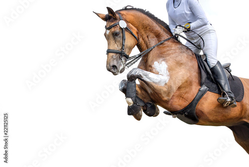 Jumping horse with a rider isolated on white background. Show-jumping. 