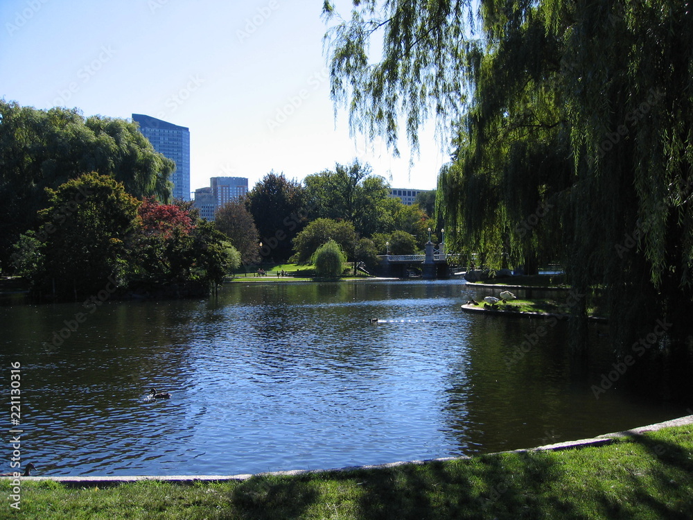 The Public Garden in Boston, Massachusetts