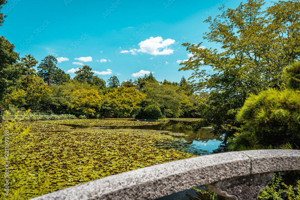 Zen lake garden with thousands of lotus flowers with stone bridge in foreground and forest in background in Ryoanji Temple, Kyoto, Japan