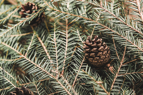 Branches of an evergreen tree with cones  stacked on pile on a table. Background