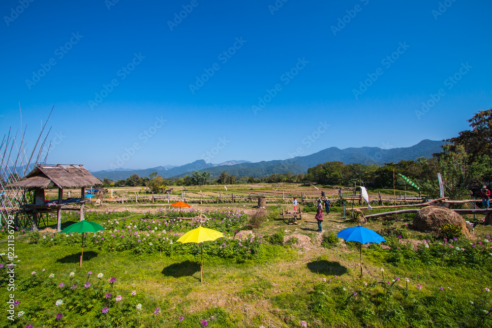 Fototapeta premium natuer view