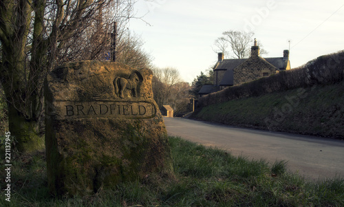 Bradfield photo