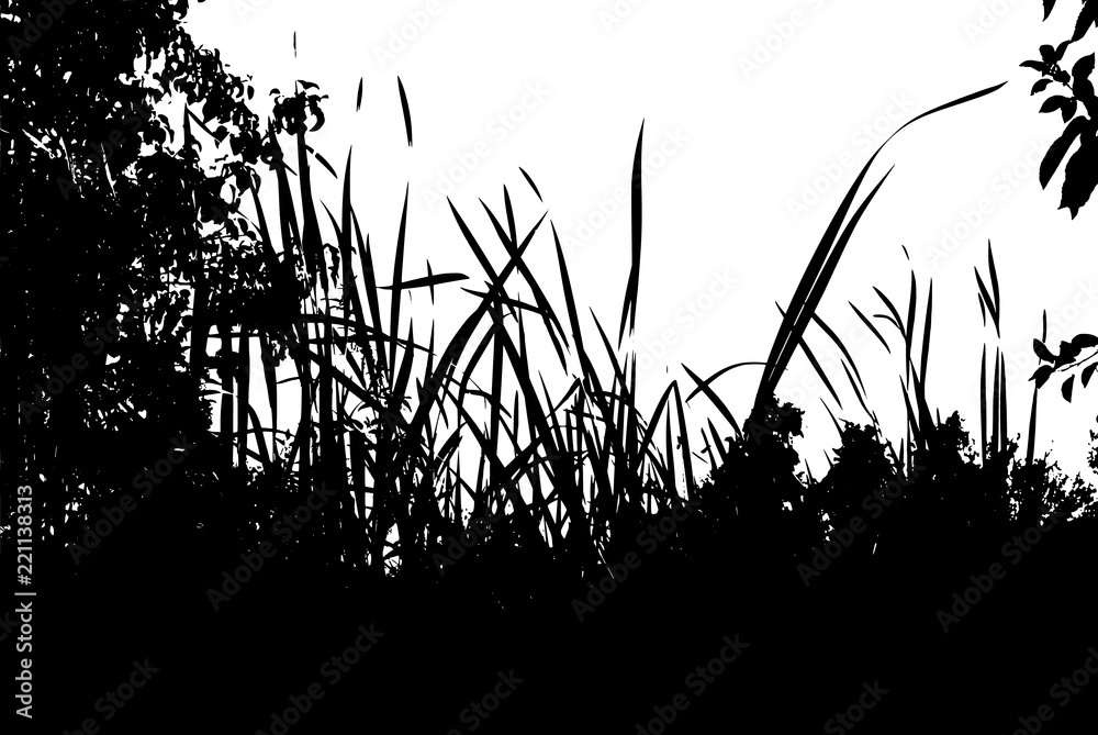 Realistic grass silhouettes from nature 