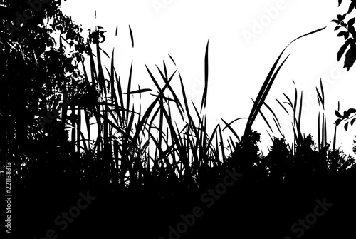 Realistic grass silhouettes from nature 