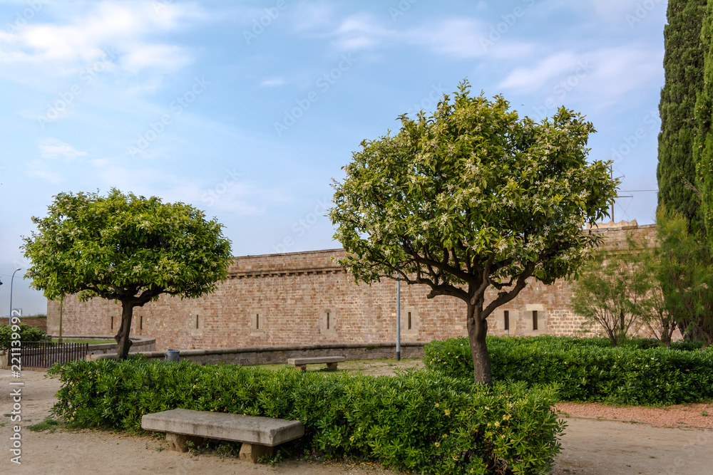 Two Citrus trees and a stone bench in the park of Montjuic Castle in Barcelona, Spain. Montjuic Castle is an old military fortress, built on top of Montjuic hill.
