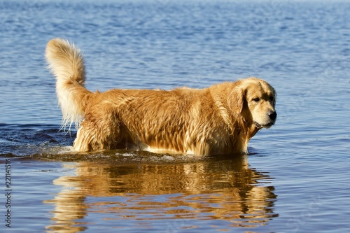 Walking in water