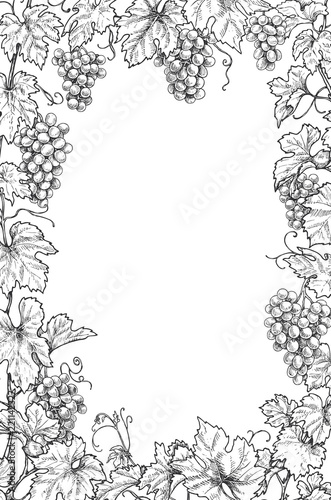 Monochrome Grape Branches Vertical Frame
